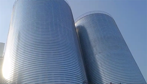 夹江2座混凝土高架卷板仓